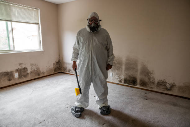 Best Mold Prevention Services  in Wagoner, OK
